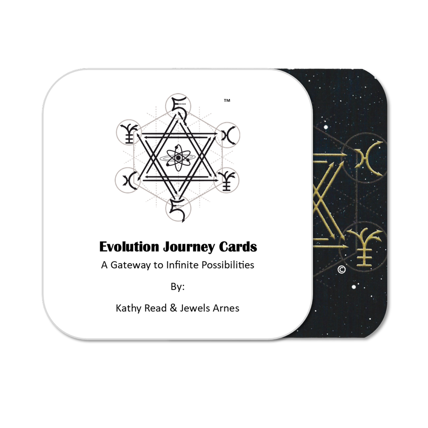 Evolution Journey Cards